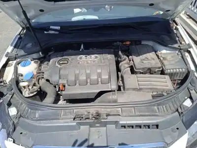 Veicolo di demolizione audi a3 (8p) 1.9 tdi ambiente dell'anno 2009 alimentato bls