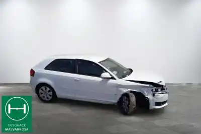 Veicolo di demolizione audi a3 (8p) 1.9 tdi ambiente dell'anno 2009 alimentato bls