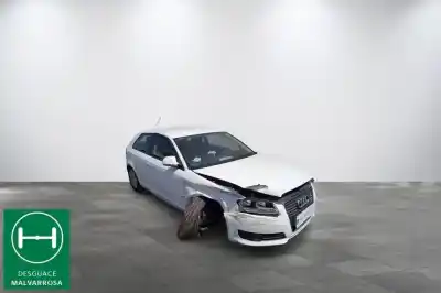 Veicolo di demolizione audi a3 (8p) 1.9 tdi ambiente dell'anno 2009 alimentato bls