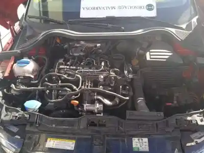 Scrapping Vehicle audi a1 (8x) 1.6 tdi of the year 2012 powered cayc