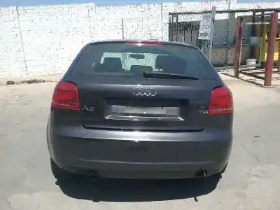 Veículo de Sucata AUDI A3 (8P1) CAY do ano 2010 alimentado CAY