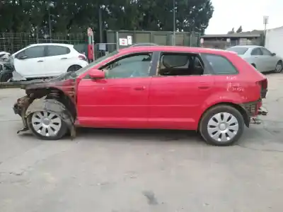 Veículo de Sucata AUDI A3 (8P1) 2.0 TDI 16V do ano 2007 alimentado BKD