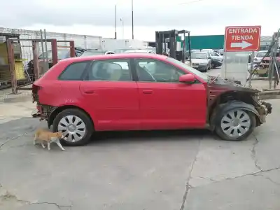 Veículo de Sucata audi a3 (8p1) 2.0 tdi 16v do ano 2007 alimentado bkd