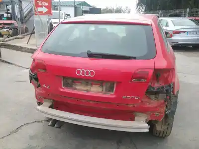 Veículo de Sucata audi a3 (8p1) 2.0 tdi 16v do ano 2007 alimentado bkd
