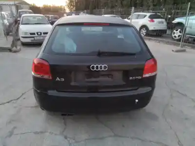 Veículo de Sucata audi a3 (8p1) 2.0 tdi 16v do ano 2007 alimentado bkd