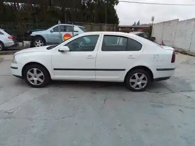 Veicolo di demolizione SKODA OCTAVIA BERLINA (1Z3) Active dell'anno 2005 alimentato BJB