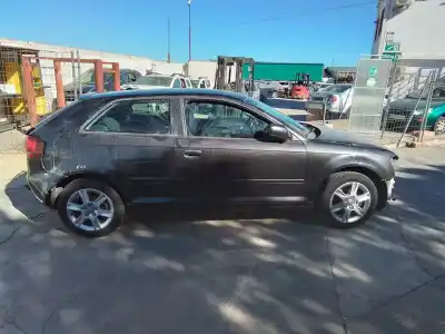 Veículo de Sucata audi a3 (8p1) cay do ano 2011 alimentado cay