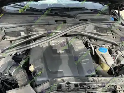 Veículo de Sucata audi q5 (8r) 2.0 tdi (125kw) do ano 2009 alimentado caha