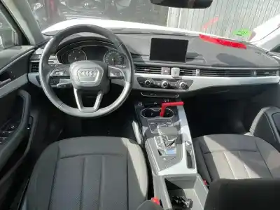 Veicolo di demolizione AUDI A4 AVANT (8W5) básico dell'anno 2017 alimentato DEUA
