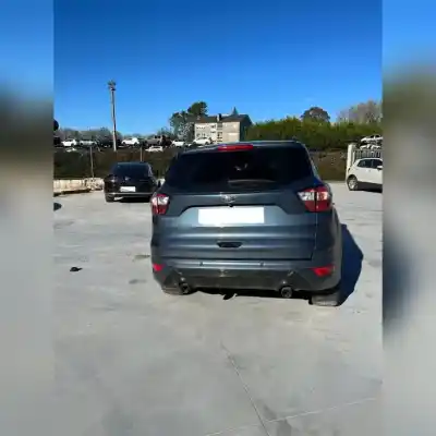 Scrapping Vehicle ford kuga (cbs) 2.0 st-line limited edition of the year 2019 powered xrmc