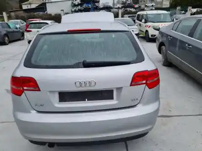 Sloopvoertuig AUDI A3 SPORTBACK (8P) 1.6 TDI van het jaar 2011 aangedreven CAYC