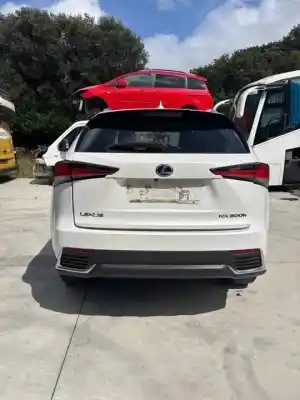 Scrapping Vehicle lexus nx (az10) 300h 2wd 155 cv / 114 kw of the year 2019 powered 2ar