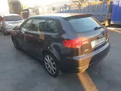 Veicolo di demolizione audi a3 sportback (8p) 2.0 tdi ambition dell'anno 2007 alimentato bkd