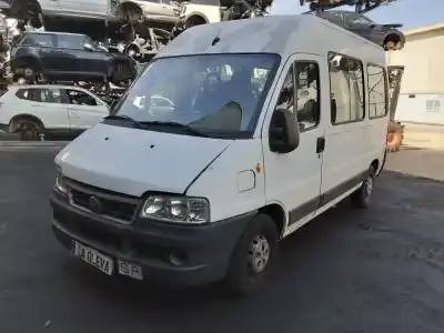 Verschrottungsfahrzeug FIAT DUCATO FURGONETA (244_)  des Jahres 2006 angetrieben F1AE0481C