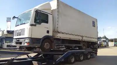 Здавання транспортного засобу man man tgl 8.180 fc, frc, flc, flrc 2005- 180cv 4580cc 1008090  року 0 потужний 
