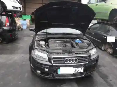 Scrapping Vehicle audi a3 (8p) 1.6 ambiente of the year 2005 powered bgu