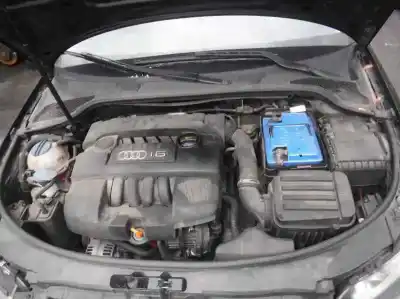 Scrapping Vehicle audi a3 (8p) 1.6 ambiente of the year 2005 powered bgu