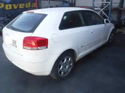 Veículo de Sucata audi a3 (8p) 1.6 ambiente do ano 2003 alimentado bgu