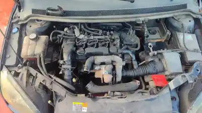 Veículo de Sucata ford focus berlina (cap) ambiente (d) do ano 2001 alimentado q8da