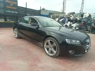 Veículo de Sucata audi a5 sportback (8t) 2.0 16v tfsi do ano 2001 alimentado cdnb