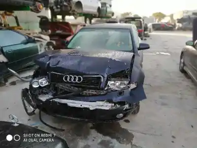 Veicolo di demolizione AUDI A4 BERLINA (8E) 1.9 TDI (96kW) dell'anno 2001 alimentato D-AWX