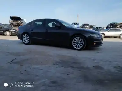 Scrapping Vehicle audi a4 berlina (b8) 2.7 v6 24v tdi of the year 2012 powered cama