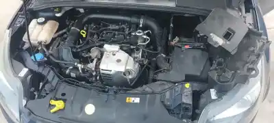 Veículo de Sucata ford focus lim. (cb8) trend do ano 2012 alimentado 