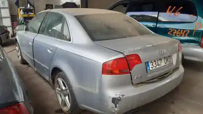 Veicolo di demolizione audi a4 berlina (8e) 2.0 tdi 16v (103kw) dell'anno 2005 alimentato blb