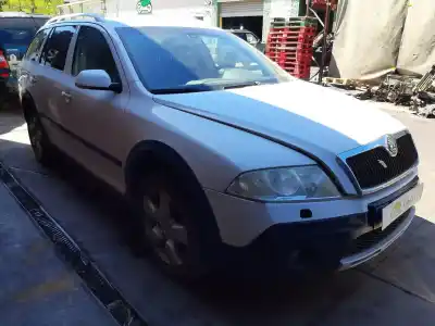 Sloopvoertuig SKODA OCTAVIA COMBI (1Z5) Scout 4X4 van het jaar 2007 aangedreven BMM