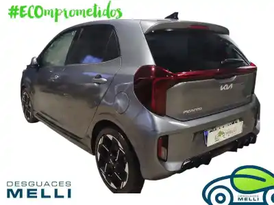 Scrapping Vehicle kia picanto (ja) gt line 67 cv / 49 kw of the year 2024 powered g3ld