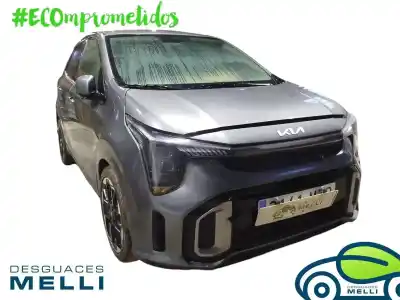 Scrapping Vehicle kia picanto (ja) gt line 67 cv / 49 kw of the year 2024 powered g3ld