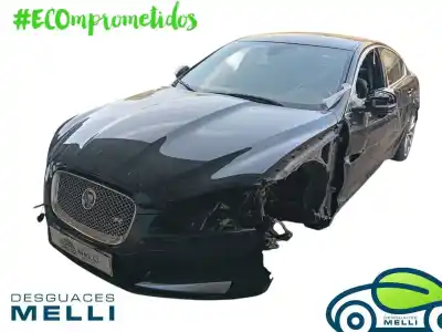 Veículo de Sucata jaguar xf i (x250) 2.2 d do ano 2019 alimentado 224dt