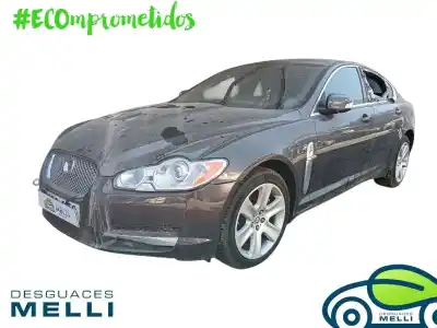 Veículo de Sucata JAGUAR XF 4.2 V8 Premium Luxury 298 CV / 219 KW do ano 2008 alimentado SV82G