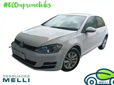 Scrapping Vehicle VOLKSWAGEN GOLF VII LIM. (5G1)  of the year 2016 powered CXX