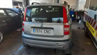 Veicolo di demolizione fiat panda (312_, 319_) 1.2 (312pxa1a) dell'anno 2003 alimentato 169a4000