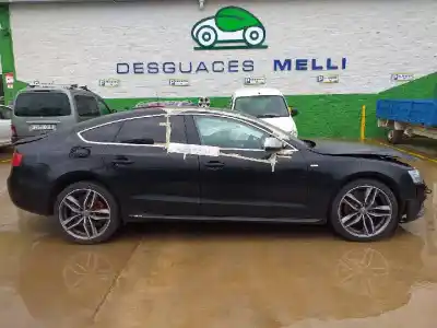 Veículo de Sucata audi a5 sportback (8t) 2.0 tdi (140kw) do ano 2001 alimentado cnh