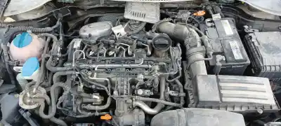 Veículo de Sucata SEAT LEON (1P1) 1.6 TDI do ano 2010 alimentado CAYC