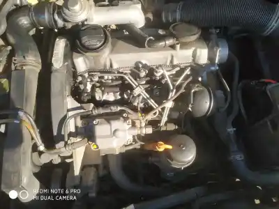 Verschrottungsfahrzeug SEAT LEON (1M1) 1.9 TDI des Jahres 2001 angetrieben ASV