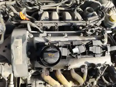 Scrapping Vehicle seat ibiza (6l1) 1.4 16v of the year 2005 powered bky