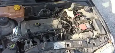 Scrapping Vehicle ford fiesta iv (ja_, jb_) 1.25 i 16v gasolina 1998 5p of the year 1998 powered dha|dhb|dhc|dhd|dhe|dhf|dhg