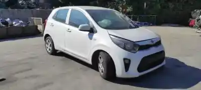 Scrapping Vehicle kia picanto (ja) 1.0 cat of the year 0 powered g3la