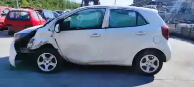 Scrapping Vehicle kia picanto (ja) 1.0 cat of the year 0 powered g3la