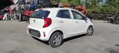 Scrapping Vehicle kia picanto (ja) 1.0 cat of the year 0 powered g3la
