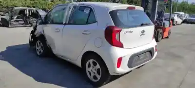 Scrapping Vehicle kia picanto (ja) 1.0 cat of the year 0 powered g3la