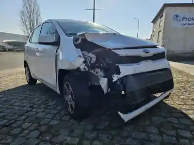 Scrapping Vehicle kia picanto (ja) 1.0 cat of the year 0 powered g3ld