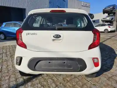 Scrapping Vehicle kia picanto (ja) 1.0 cat of the year 0 powered g3ld