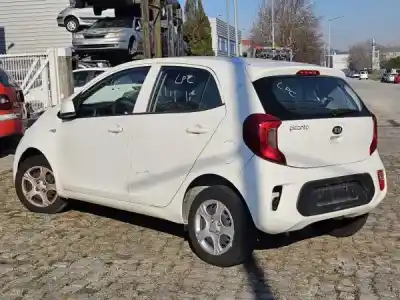 Scrapping Vehicle kia picanto (ja) 1.0 cat of the year 0 powered g3ld