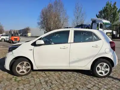 Scrapping Vehicle kia picanto (ja) 1.0 cat of the year 0 powered g3ld
