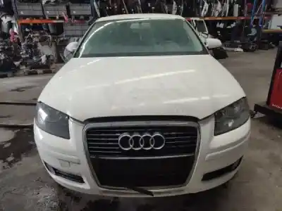 Scrapping Vehicle audi a3 (8p1) 1.9 tdi of the year 2009 powered 