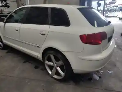 Scrapping Vehicle audi a3 (8p1) 1.9 tdi of the year 2009 powered 